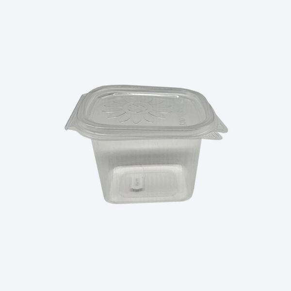 Miska Ripboxx Tiny s viečkom priehľadná 500ml - PP828