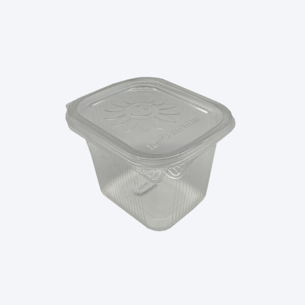 Miska Ripboxx Tiny s viečkom priehľadná 500ml - PP828
